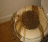 Toilet Leak Water Damage Supplemental Video Claim Course