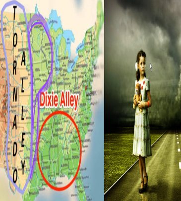 course thumbnail
